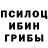 Псилоцибиновые грибы Psilocybine cubensis Hamish White