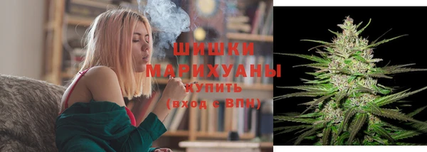 стафф Аркадак