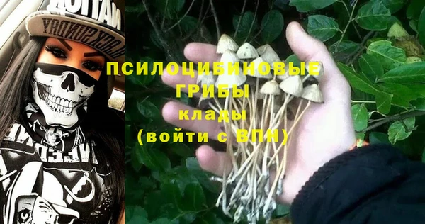 стафф Аркадак