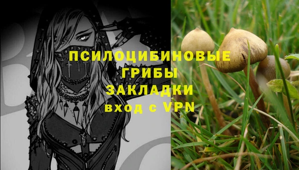 стафф Аркадак