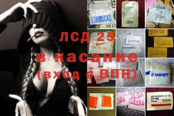 стафф Аркадак