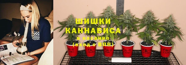 соль курить ск Арсеньев