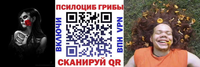Купить  Родники  Галлюциногенные грибы Psilocybine cubensis 